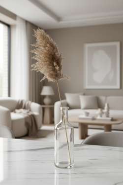 Vela Dried Pampas Grass Stems