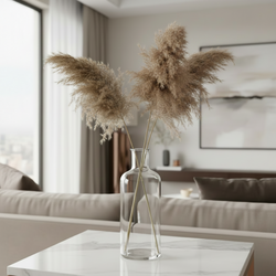 Vela Dried Pampas Grass Stems